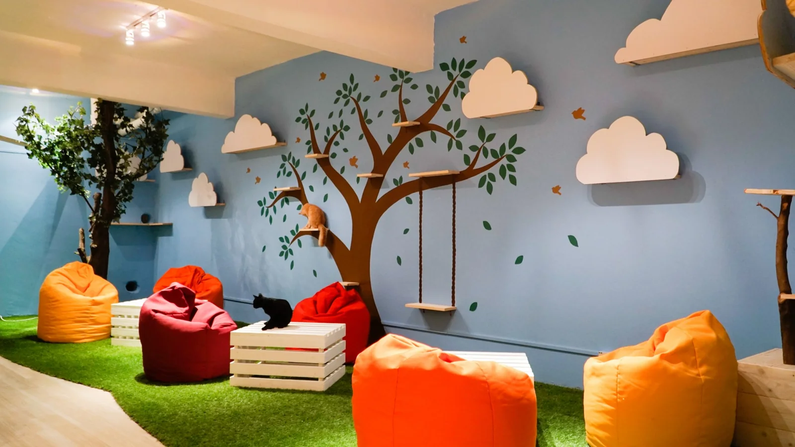 Purradise Cat Cafe