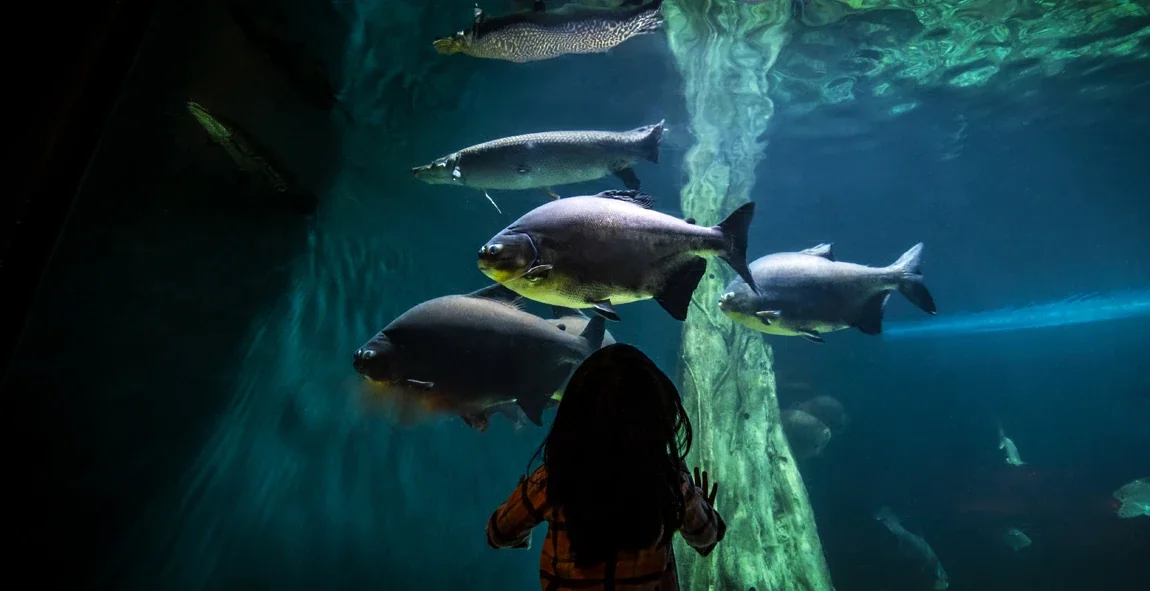 Aquaria KLCC